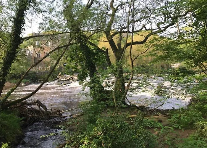 River Airebnb